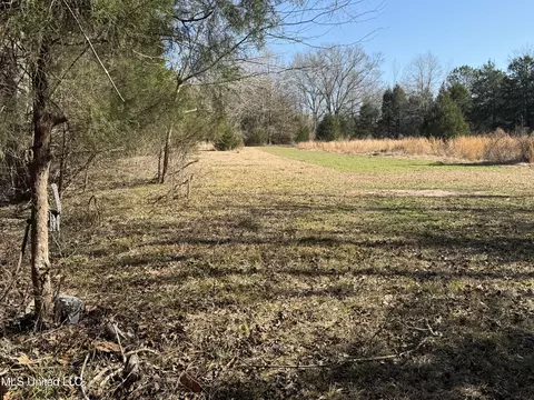 Off Robinson Springs Road, Flora, MS 39071 photo 12