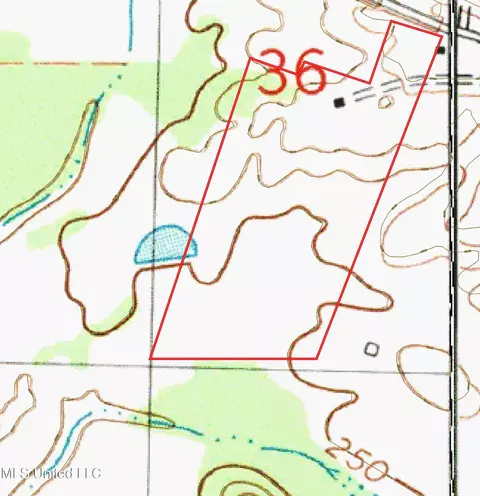 Off Robinson Springs Road, Flora, MS 39071 photo 21