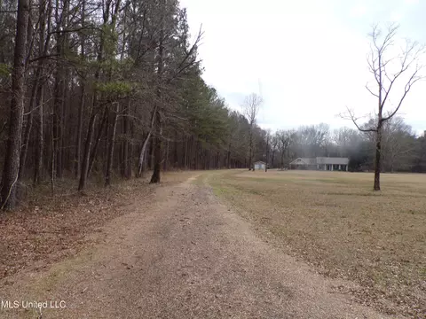 Exterior - 1513 Old Hwy 80, Forest, MS 39074 photo 6 of 33