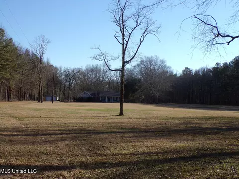 Exterior - 1513 Old Hwy 80, Forest, MS 39074 photo 28 of 33