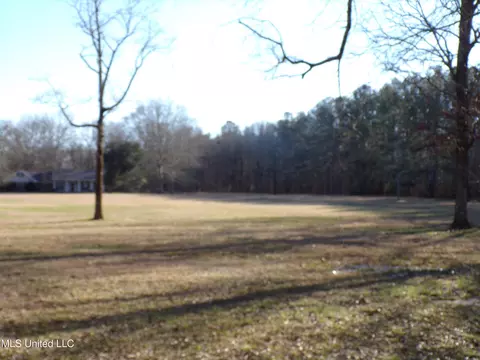 Exterior - 1513 Old Hwy 80, Forest, MS 39074 photo 30 of 33