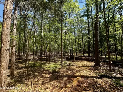 Sundial Road, Madison, MS 39110 photo 10