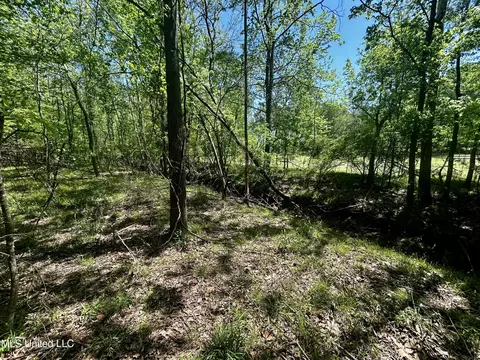 Sundial Road, Madison, MS 39110 photo 2