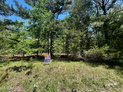 Sundial Road, Madison, MS 39110 photo 3