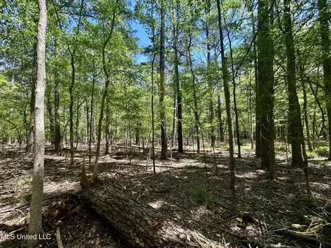 Sundial Road, Madison, MS 39110 photo 9