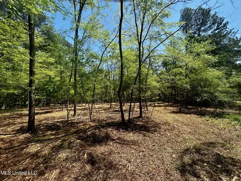 Sundial Road, Madison, MS 39110 photo 14
