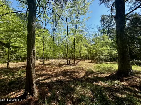 Sundial Road, Madison, MS 39110 photo 15