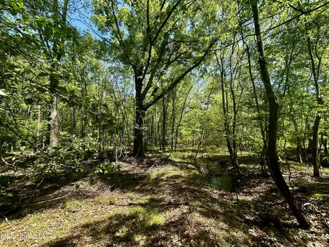 Sundial Road, Madison, MS 39110 photo 6