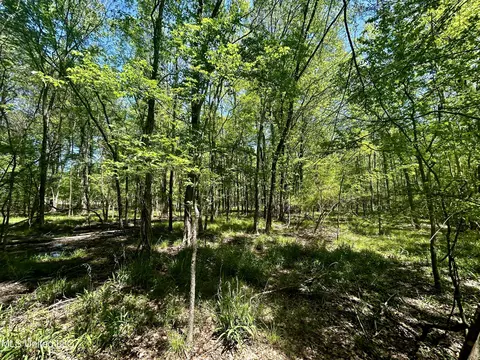 Sundial Road, Madison, MS 39110