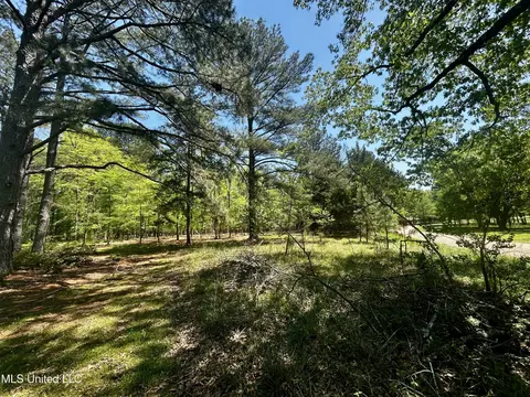 Sundial Road, Madison, MS 39110 photo 16