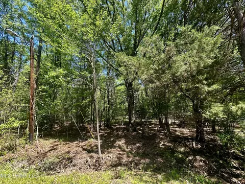 Sundial Road, Madison, MS 39110 photo 5