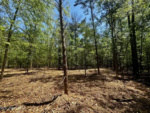 Sundial Road, Madison, MS 39110 photo 12