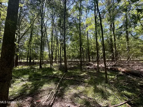 Sundial Road, Madison, MS 39110 photo 8