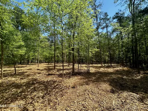 Sundial Road, Madison, MS 39110 photo 13