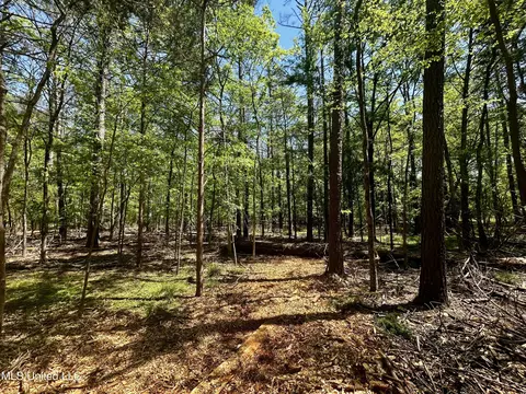 Sundial Road, Madison, MS 39110 photo 7