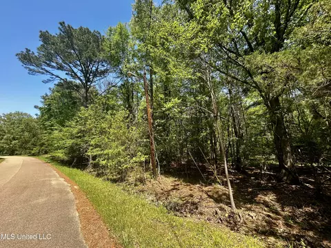 Sundial Road, Madison, MS 39110 photo 4