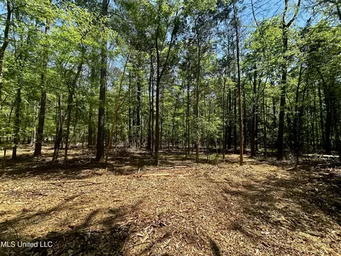 Sundial Road, Madison, MS 39110 photo 11
