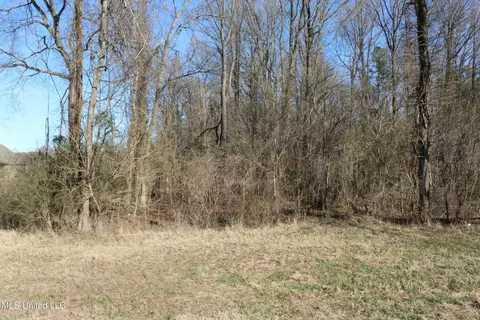 0 Gwynn Rd, Nesbit, MS 38651
