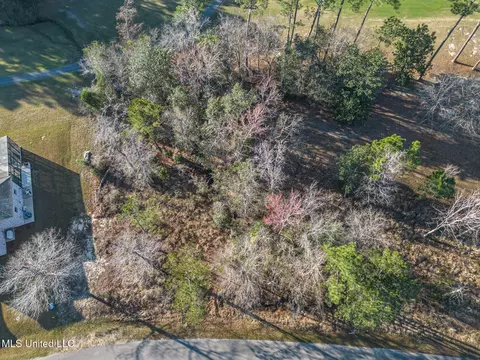 Turnberry Drive, Diamondhead, MS 39525 photo 2