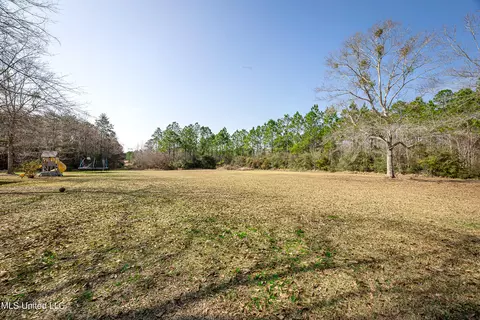 Exterior - 12025 Saracennia Rd, Moss Point, MS 39562 photo 26 of 31