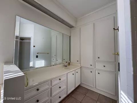 Bath - 149 Belle Pointe Cir, Madison, MS 39110 photo 3 of 13