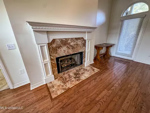 Living - 149 Belle Pointe Cir, Madison, MS 39110 photo 6 of 13