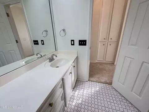 Bath - 149 Belle Pointe Cir, Madison, MS 39110 photo 11 of 13