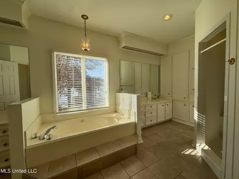 Bath - 149 Belle Pointe Cir, Madison, MS 39110 photo 2 of 13