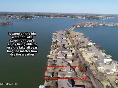 View/Area - 149 Belle Pointe Cir, Madison, MS 39110 photo 3 of 16
