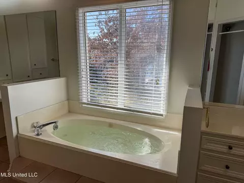 Bath - 149 Belle Pointe Cir, Madison, MS 39110 photo 6 of 13