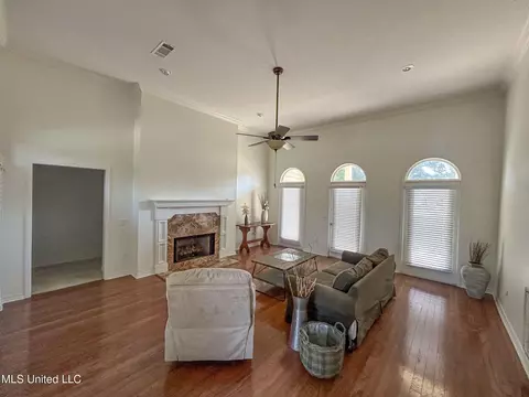 Living - 149 Belle Pointe Cir, Madison, MS 39110 photo 13 of 13