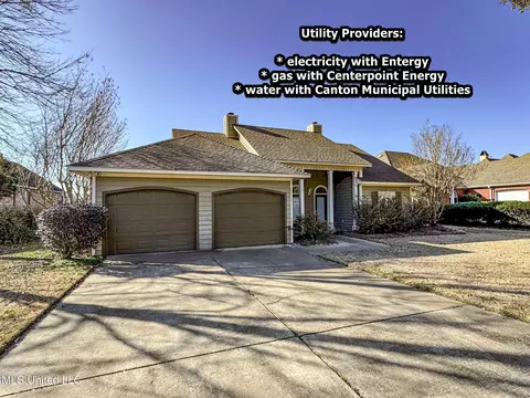 Exterior - 149 Belle Pointe Cir, Madison, MS 39110 photo 5 of 39