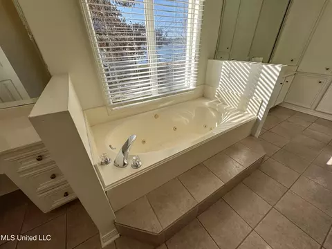 Bath - 149 Belle Pointe Cir, Madison, MS 39110 photo 4 of 13