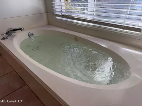 Bath - 149 Belle Pointe Cir, Madison, MS 39110 photo 5 of 13