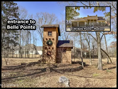 Other - 149 Belle Pointe Cir, Madison, MS 39110 photo 8 of 40