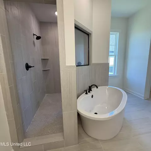 Bath - 784 Coahoma Ct, Nesbit, MS 38651 photo 3 of 4