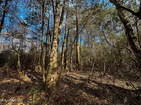 01 Dap Rd E, Moss Point, MS 39562 photo 38
