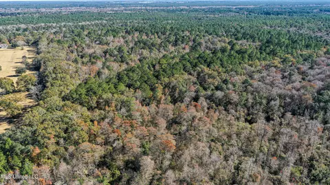 01 Dap Rd E, Moss Point, MS 39562 photo 12