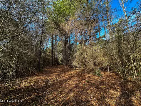 01 Dap Rd E, Moss Point, MS 39562 photo 44