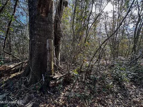 01 Dap Rd E, Moss Point, MS 39562 photo 19
