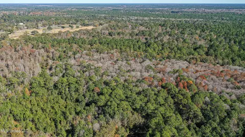 01 Dap Rd E, Moss Point, MS 39562 photo 8