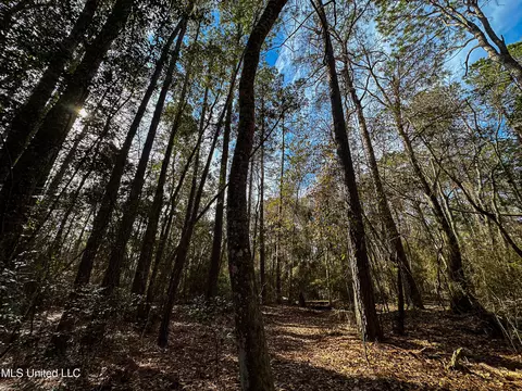 01 Dap Rd E, Moss Point, MS 39562 photo 47