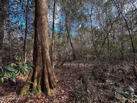 01 Dap Rd E, Moss Point, MS 39562 photo 15