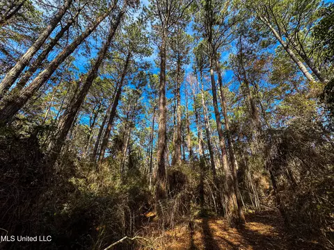 01 Dap Rd E, Moss Point, MS 39562 photo 11