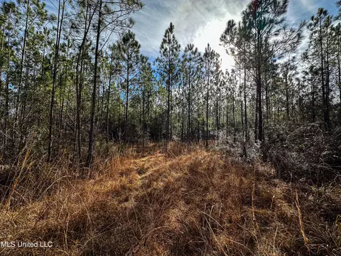 01 Dap Rd E, Moss Point, MS 39562 photo 32