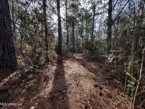 01 Dap Rd E, Moss Point, MS 39562 photo 39