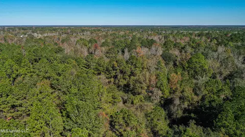 01 Dap Rd E, Moss Point, MS 39562 photo 28