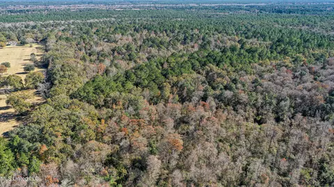 01 Dap Rd E, Moss Point, MS 39562 photo 6
