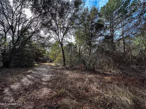 01 Dap Rd E, Moss Point, MS 39562 photo 43