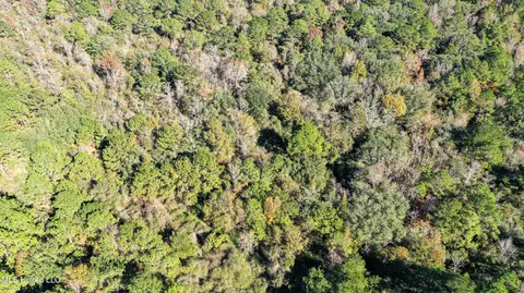 01 Dap Rd E, Moss Point, MS 39562 photo 26